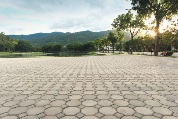Best Driveway Paving Contractor  in Springboro, OH